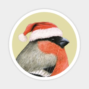 Eurasian bullfinch Magnet